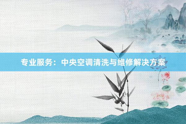 专业服务：中央空调清洗与维修解决方案